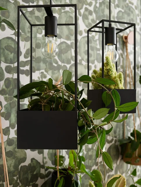 Nowoczesne lampy wiszące w metalowych osłonach z roślinami na tle tapety w zielone wzory.